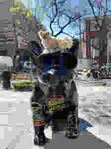 Dog on Taikooli statue