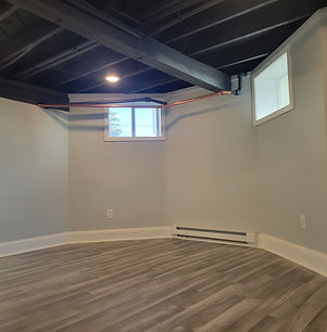 Finished basement living space at 4721 Robinson