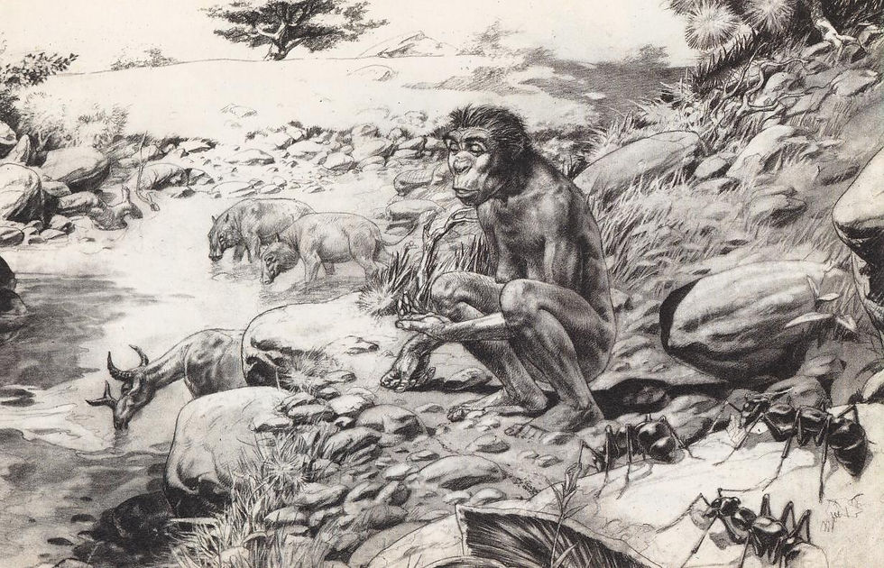 Thumbnail: Lucy La speranza Fumetto di Tanino Liberatore