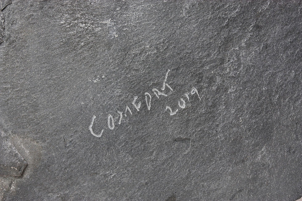 Miniatura: David Comfort trilobite Signature