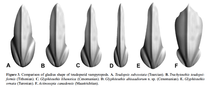 Miniatura: Glyphiteuthis libanotica (Fraas 1878)