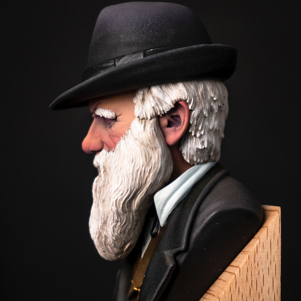 Thumbnail: Darwin miniatura