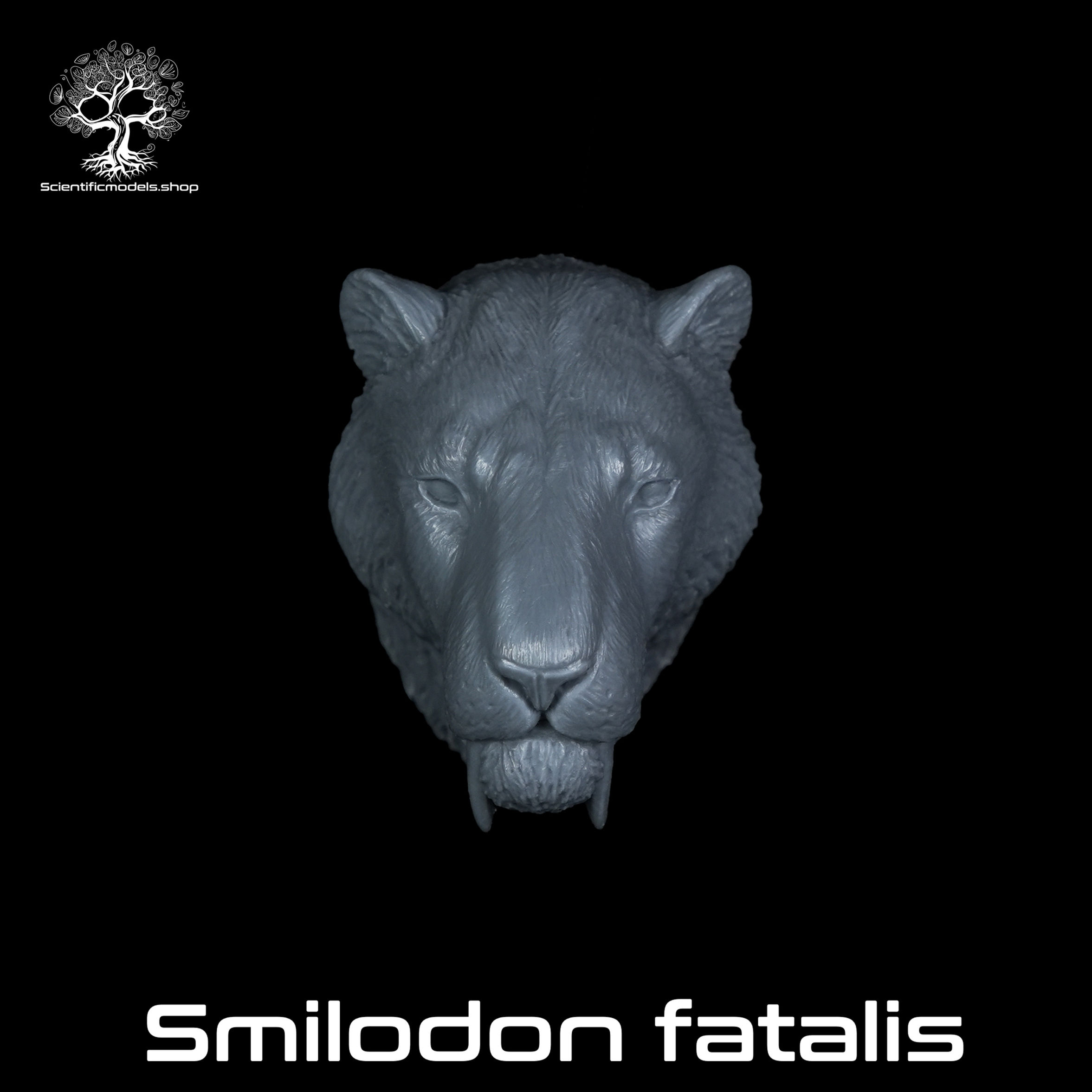 Sabretooth cat smilodon resin model