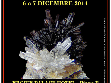 36ª Mostra di Minerali, Fossili e Conchiglie ROMA ERGIFE PALACE HOTEL