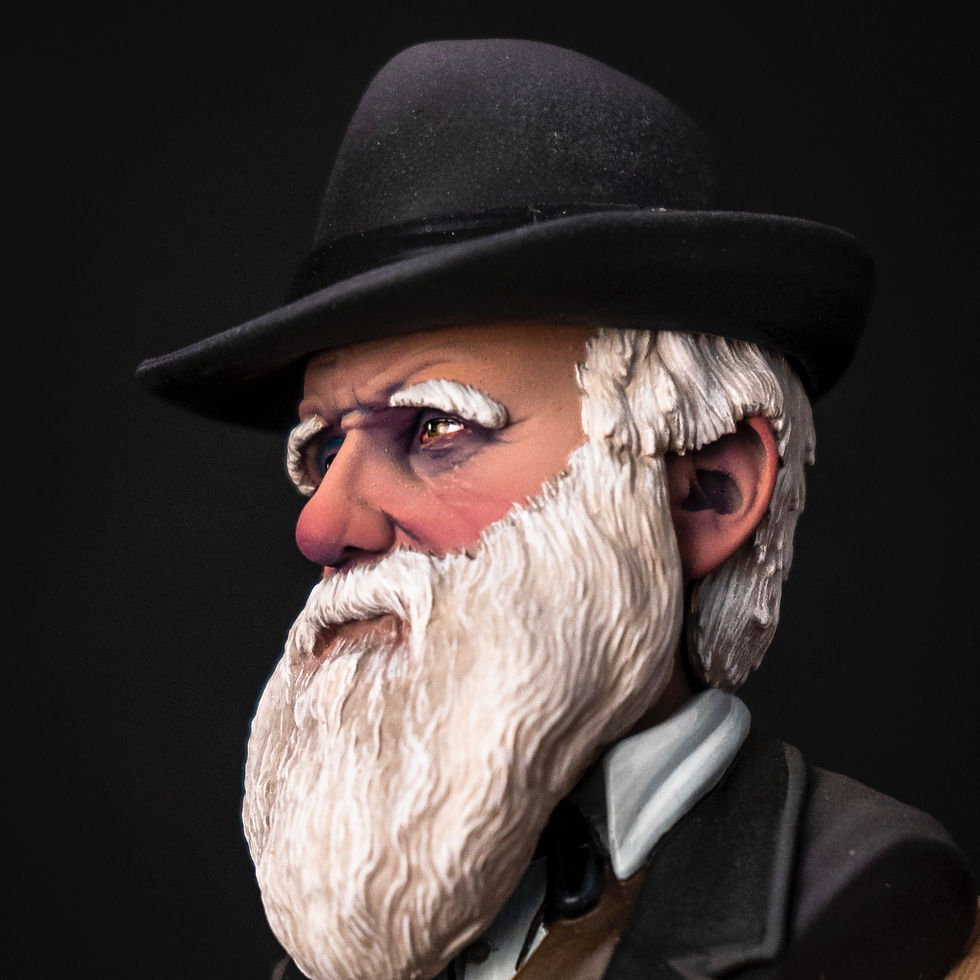 Thumbnail: Darwin miniatura