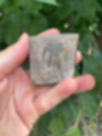 Late Ordovician Marrellomorph Arthropod Furca bohemica