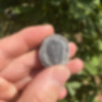 Wujiajiana lyndasmithae trilobite canada on sale