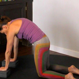 Techniques and exercises to step through from Downward facing dog to Low lunge. *30 minute practice