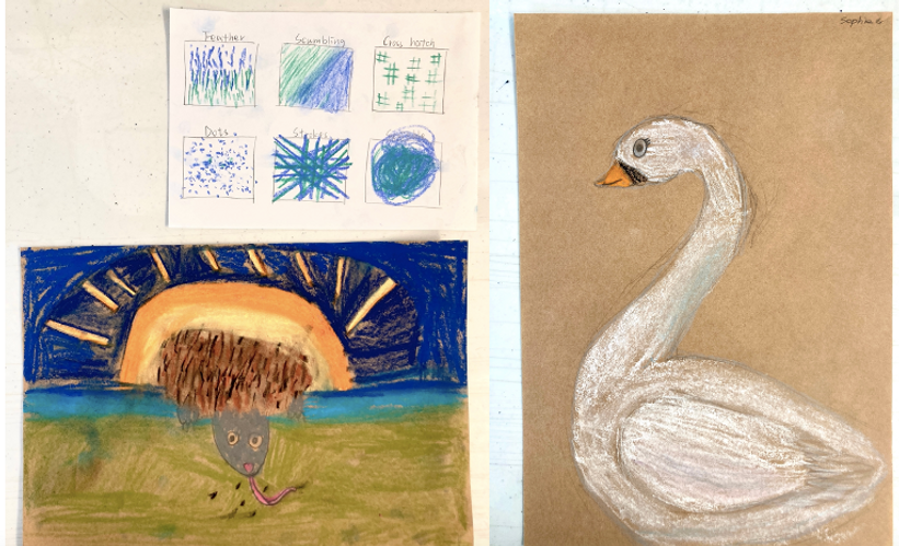 Screen Shot 2024-04-25 at 2.24.08 pm.png