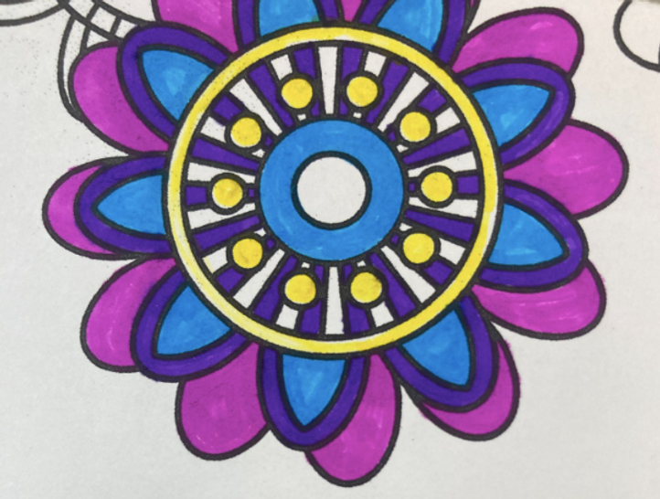 Screen Shot 2024-03-27 at 1.09.09 pm.png