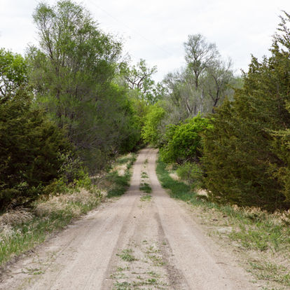 A wondering country road waits for you to walk down image by Becky Finney | 4 County Beef Products Nebraska