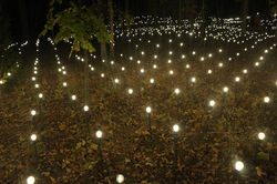 Crystal Bridge Magic