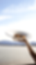 DSC02749.png