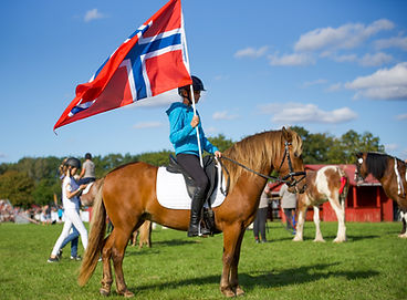 2B46B9B1-8754-4752-A60B-4CFA53658495_1_100_o.jpg