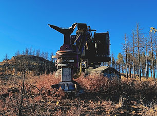 D6973742-E436-4437-A047-0D9FE28A6FFE_edi