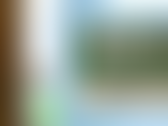 2026年醫療券加碼詳解｜綜合資訊服務助你善用長者福利全攻略