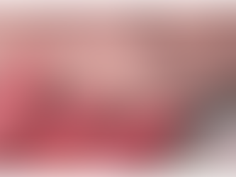 旅行的噩夢紀念品：床蝨（木蝨）防治血淚史