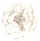 13.png