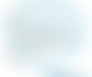 現況の行動が制限される中での過ごし方