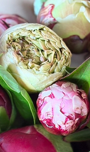 Luxe Peony Bouquet