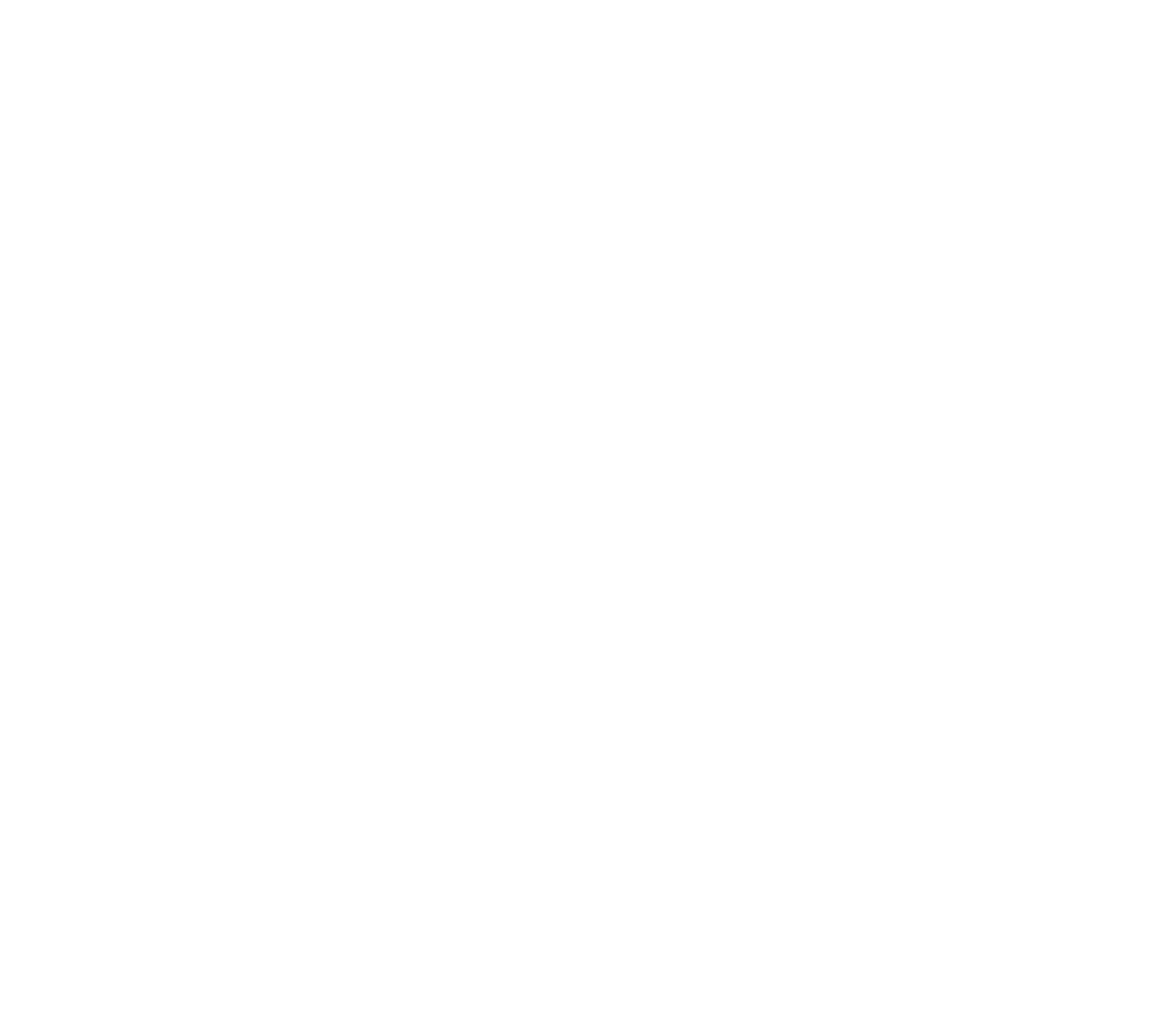 Logo_tsp_bl.png