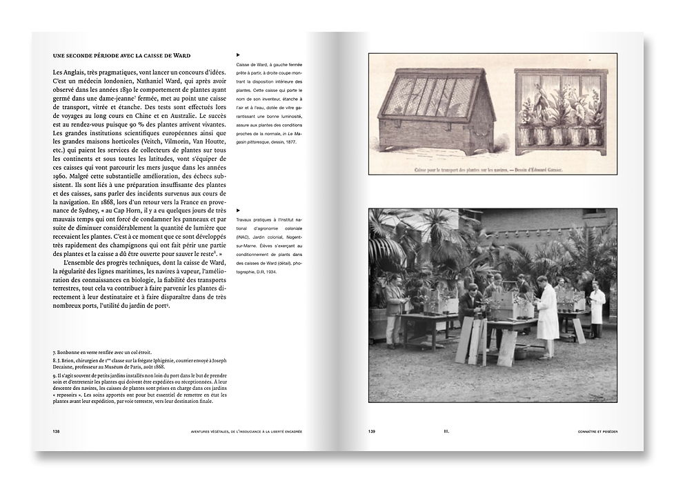 Miniature : AVENTURES VÉGÉTALES — De l'insouciance  la liberté encadrée