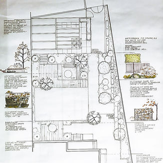 Garten-Design-Bonn-Rebecca-Lammers-projekte-Jugendstil_Zeichnung_edited_edited.jpg