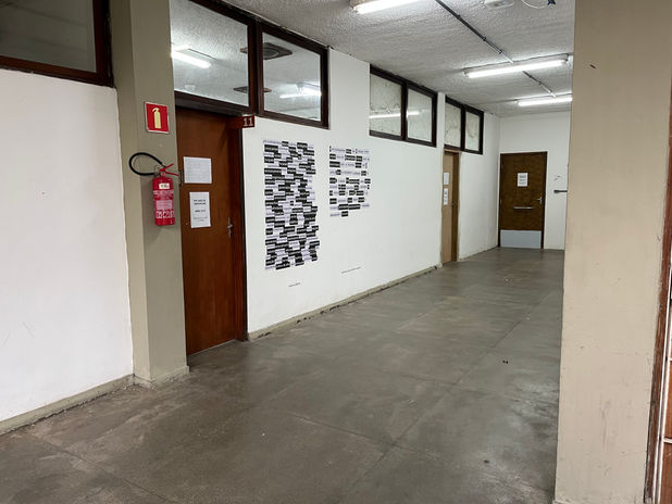 Sobre a Bienal - Julia Rocha7.jpg