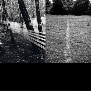 6 conexões entre edith derdyk | richard long