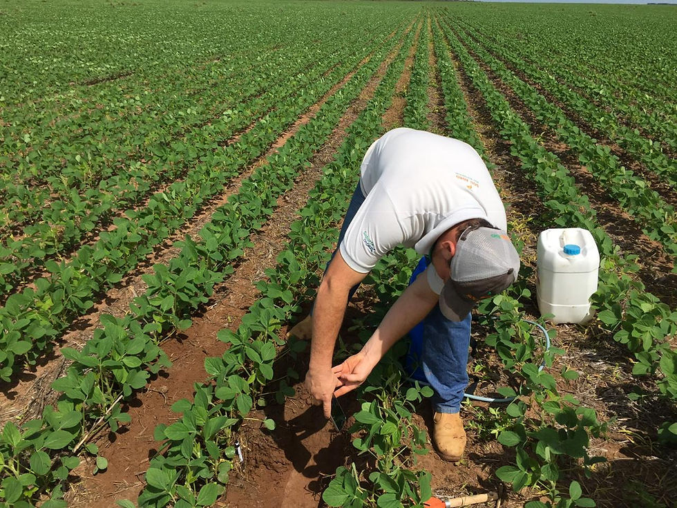 10 motivos do porquê utilizar bioinsumos na agricultura