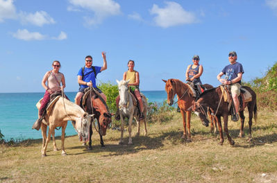 La meilleure équitation sur la plage