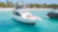 Saona Tours Privado y Catalina