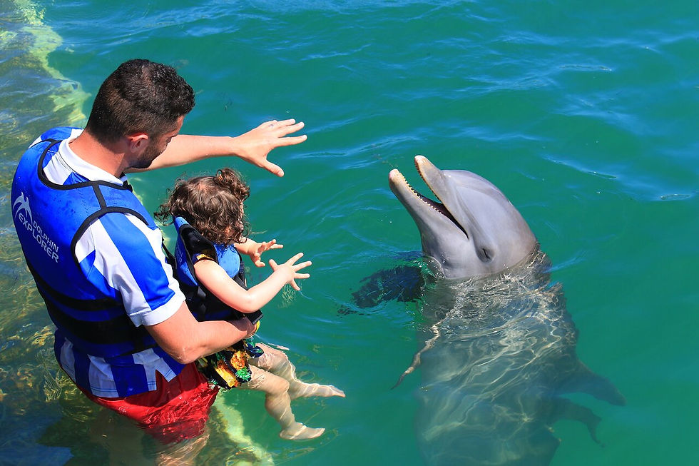 Nadar con delfines