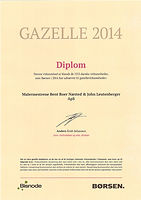 Gazelle 2014.jpeg