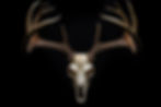 AdobeStock_646709118.jpeg