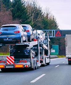 Untitled design (7).png