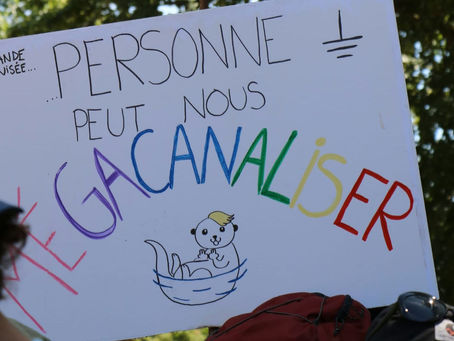 Contre le Méga Canal, faire entendre les droits de la Seine et de l’Oise