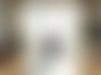 Becoming a Transformational Leader: A Journey of Influence and Inspiration