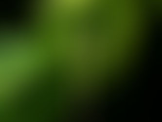 How Everything We Are and Everything We Are Meant to Become Was Planted in Us from the Beginning