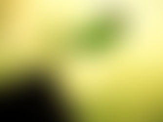 The Seed of Leadership: Why Transformation Begins Within