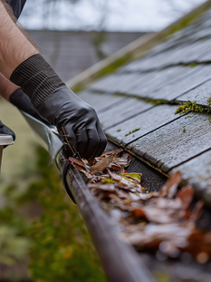 Roof And Gutter Cleaning