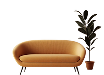 login35-removebg.png