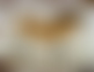 Про искусство. Первобытный мир