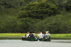 HQueiroga_Amazonia_DSC3919.jpg