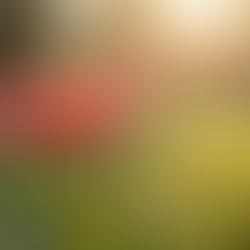 Embracing Kindness: Why Being Gentle to Yourself and Others Matters