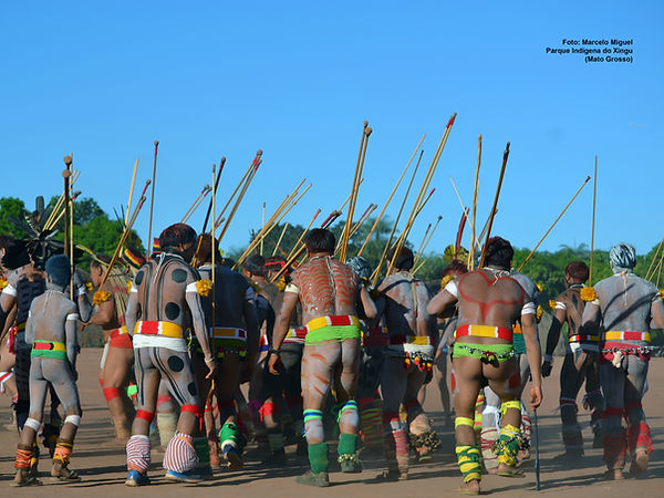 XINGU107.jpg