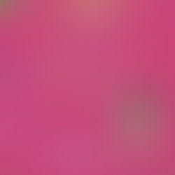 As férias com os avós