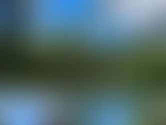 行ってきましたジャングリア？🦖
