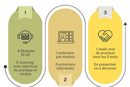ECI organisation formation.png