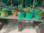 IMG_1154.jpeg